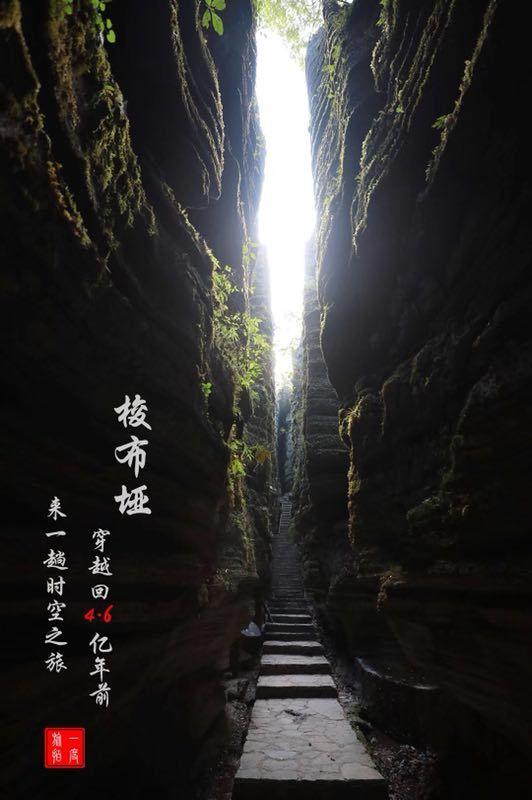 逃出蜜蜂岛
