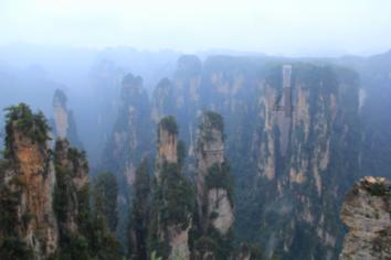 请问烟台山医院耳鼻喉科的，哪个大夫做鼻内窥镜手术更好一些