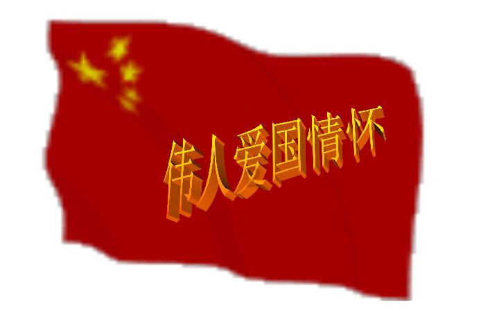 逃离违建房屋7